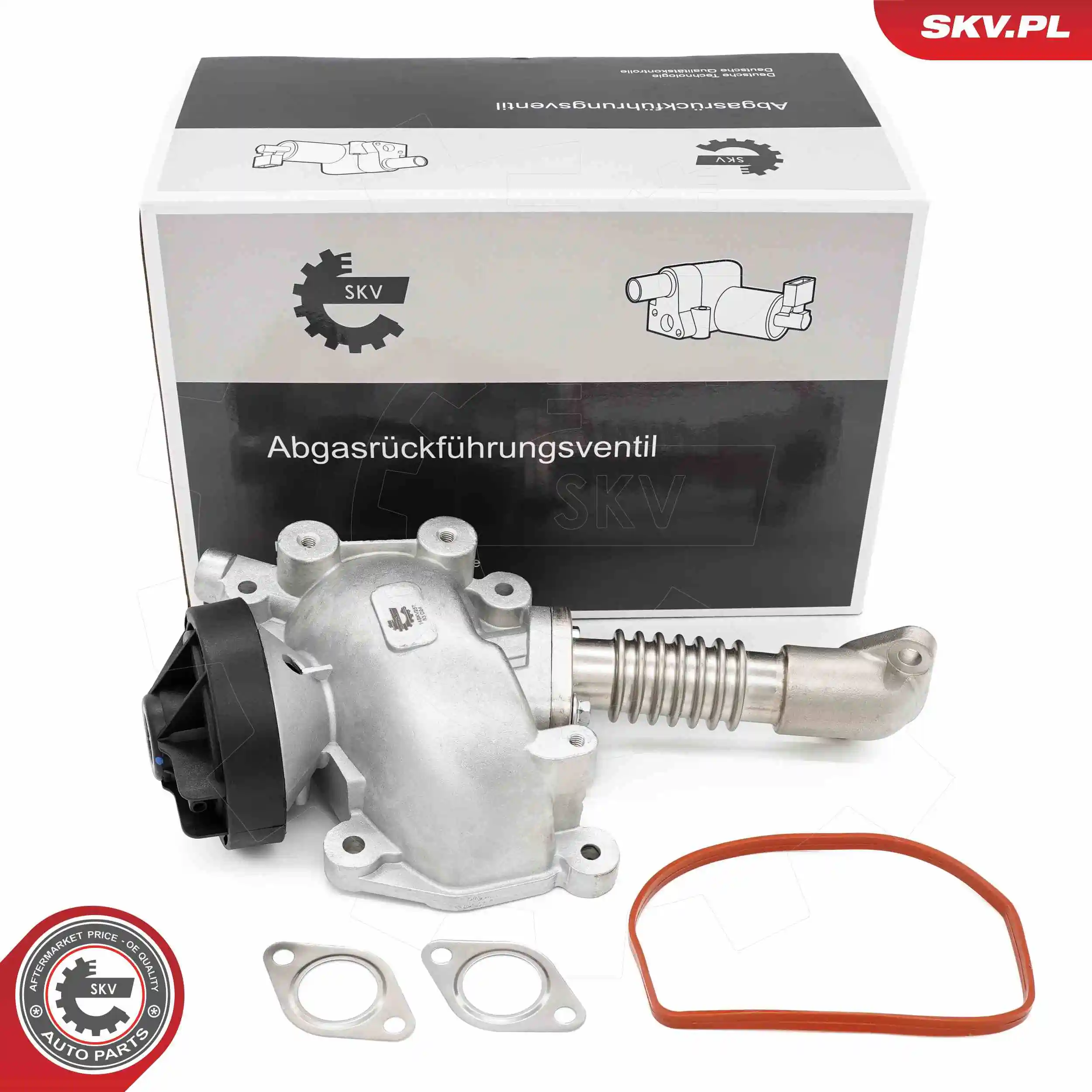 EGR Valve